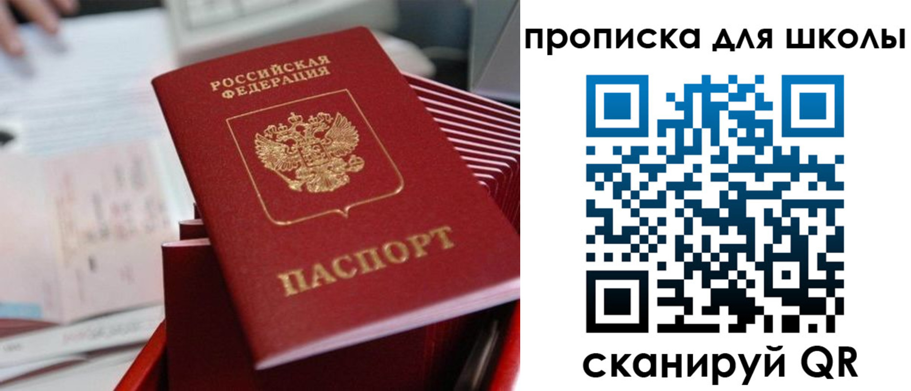 прописка для школы в Челябинской области